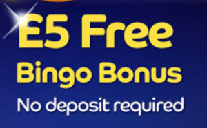 Free bingo no deposit usa players