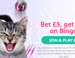 Kitty Bingo Promo Code May 2024: Use the promo code for £25 welcome bonus